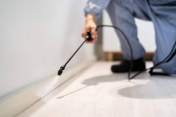 Licensed Mosquito Control service in Post Falls, ID - Show Me Pest Control