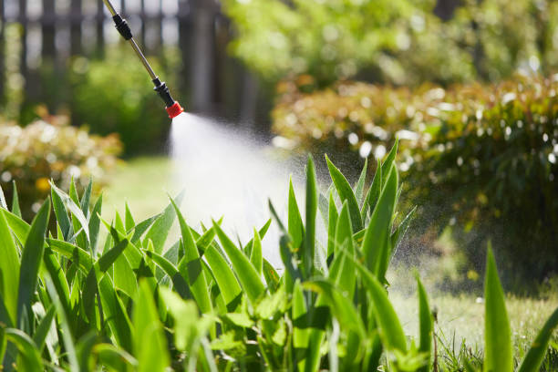 24/7 Emergency Mosquito Control experts in Post Falls, ID