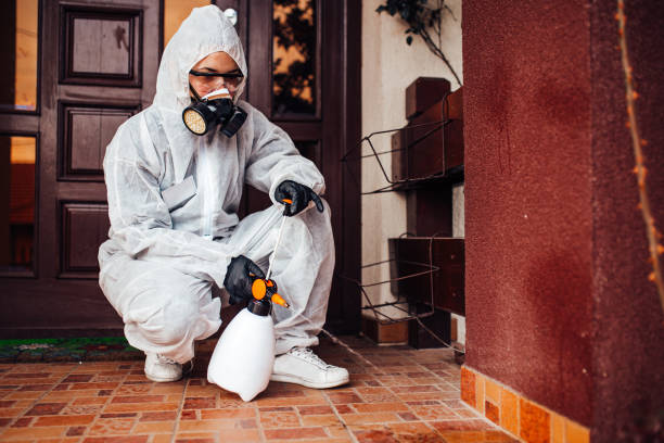 Reliable Mosquito Control contractor in Post Falls, ID by Show Me Pest Control