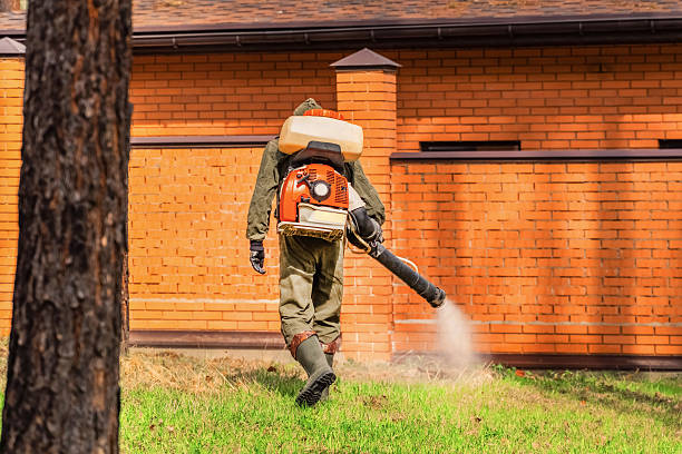 Top rated local Mosquito Control specialists in Post Falls, ID